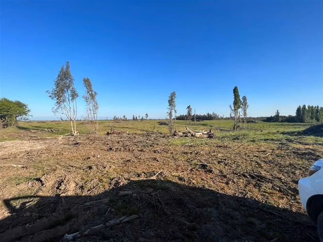 Vende 241 hás en Parral - Región del Maule