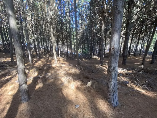 Parcela en venta en Las Brisas