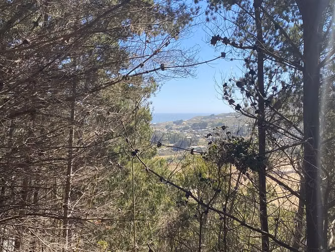 Parcela en venta en Las Brisas