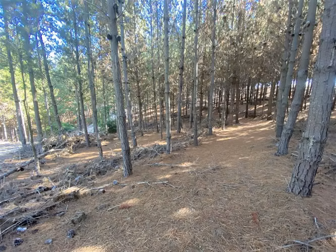 Parcela en venta en Las Brisas