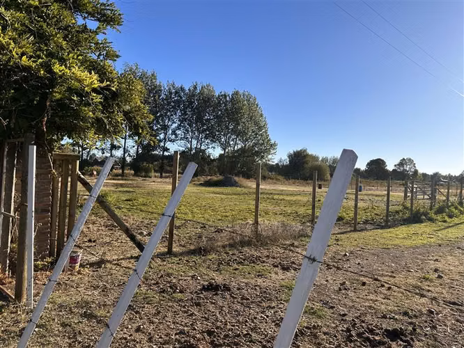 Parcela en calle Colonia B. Ohiggins en venta en Chillán - Imagen 29