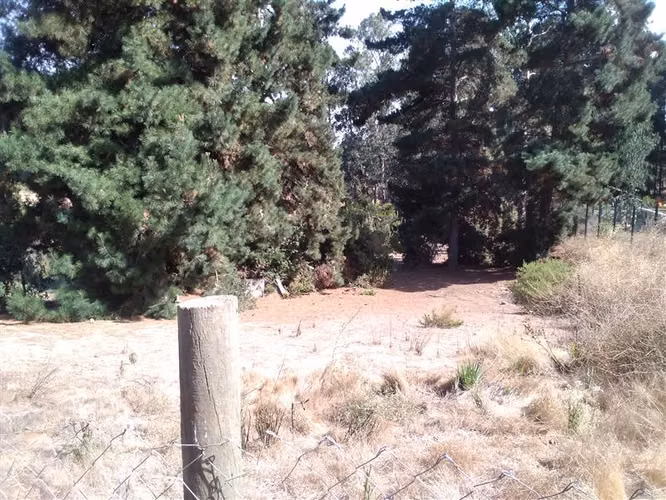 PARCELA PINARES NORTE CESIÓN DE DERECHOS F90 KL 3 CENTRO - Imagen 5