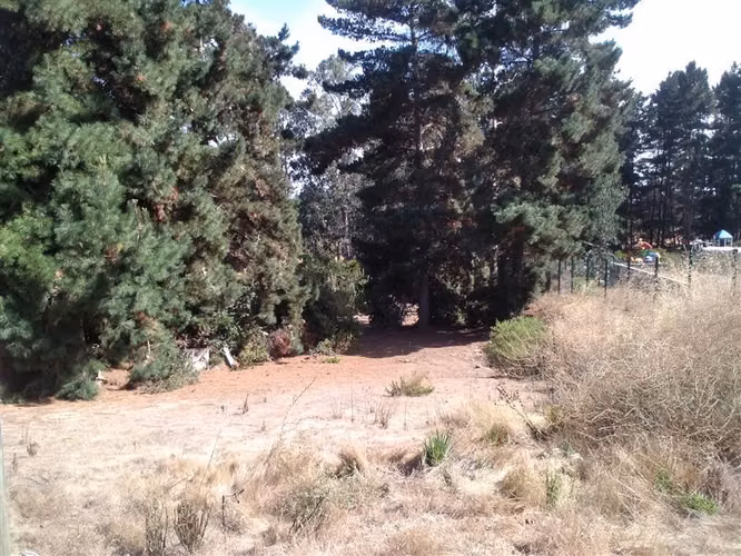 PARCELA PINARES NORTE CESIÓN DE DERECHOS F90 KL 3 CENTRO - Imagen 18