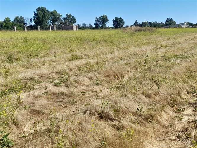 Venta de parcela a 10 minutos de Talca, sector Las Rastras - Imagen 4