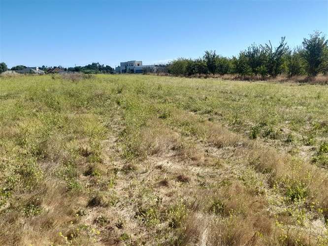 Venta de parcela a 10 minutos de Talca, sector Las Rastras - Imagen 2