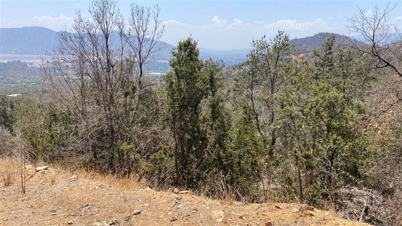 Parcela en venta en Paine - Imagen 9