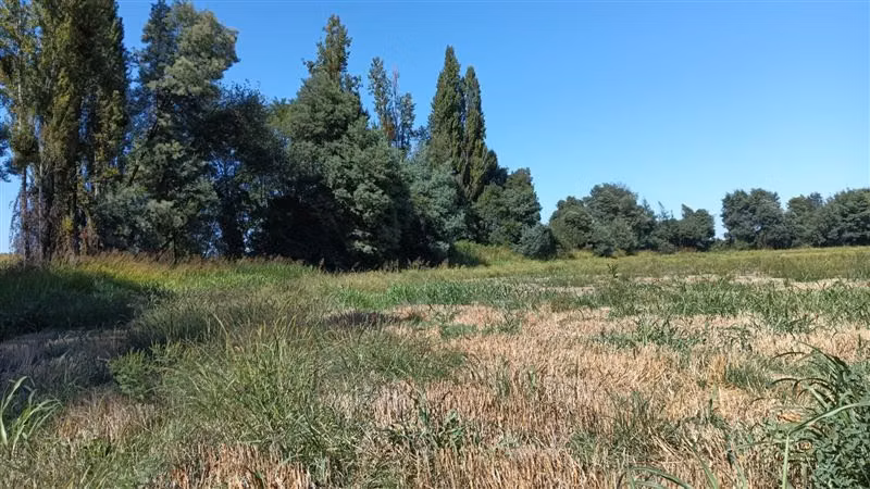 Agrícola en venta en Yerbas Buenas