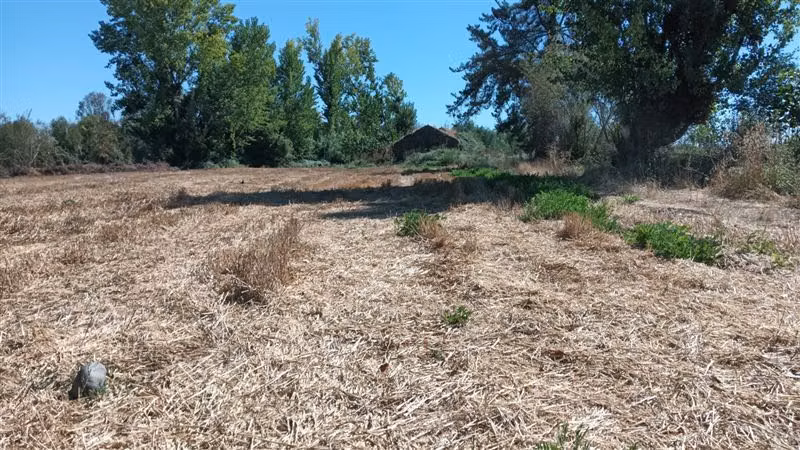 Agrícola en venta en Yerbas Buenas