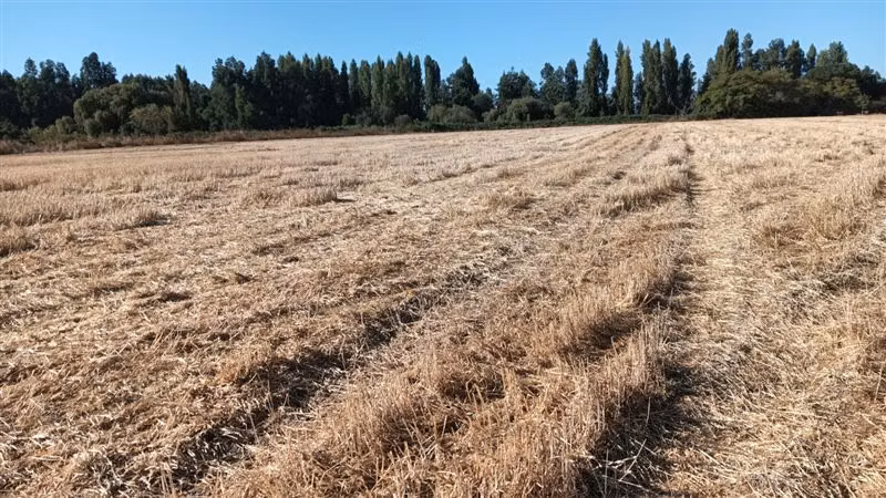 Parcela en venta en Yerbas Buenas