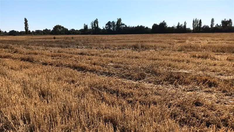 Parcela en venta en Yerbas Buenas