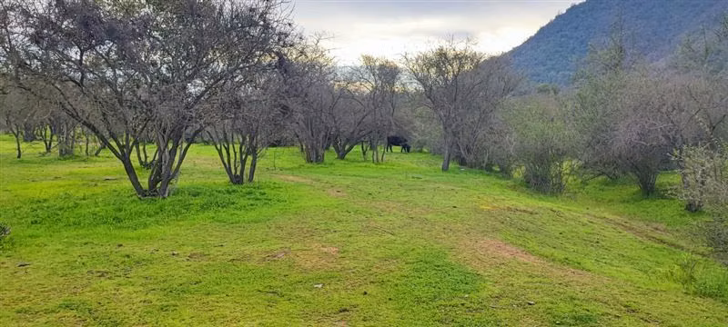 Parcela en venta en Melipilla