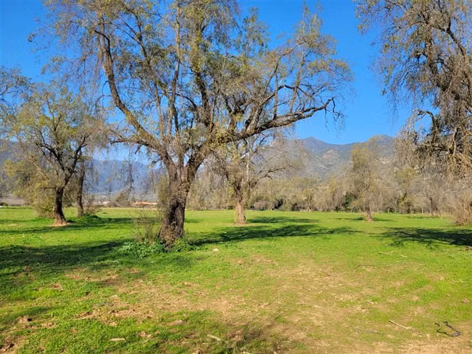 Parcela en venta en Melipilla