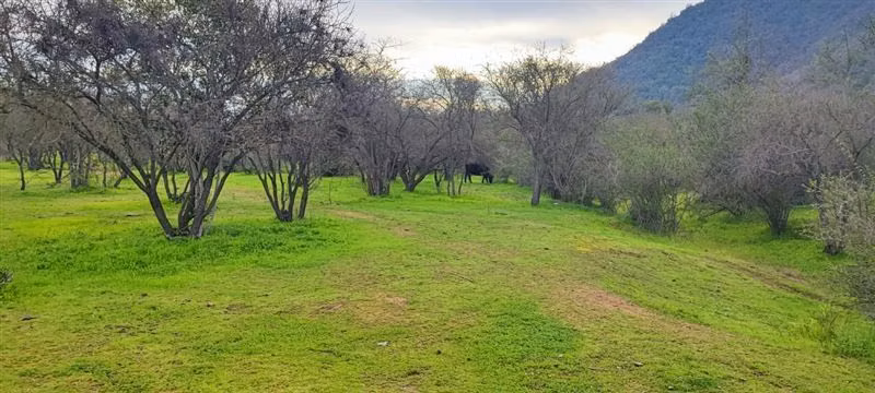 Parcela en venta en Melipilla - Imagen 3