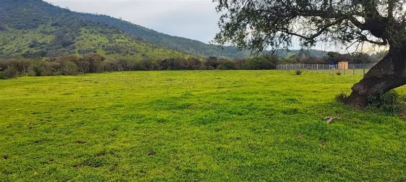 Parcela en venta en Melipilla