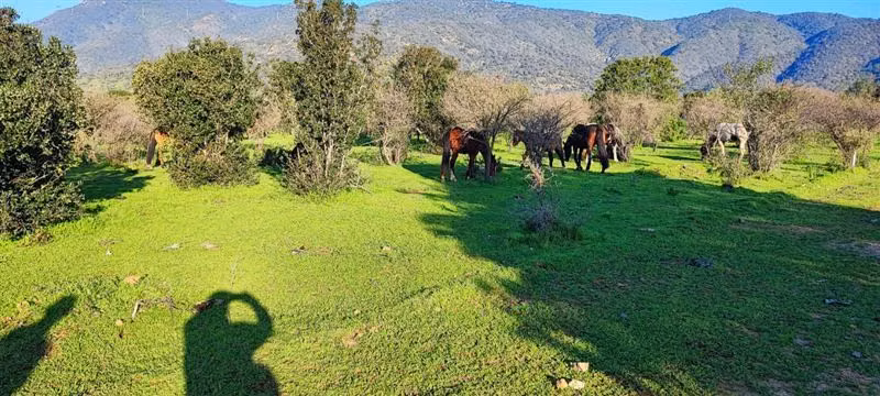 Parcela en venta en Melipilla