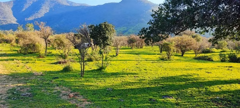 Parcela en venta en Melipilla