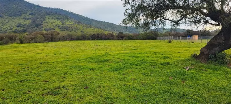 Parcela en venta en Melipilla