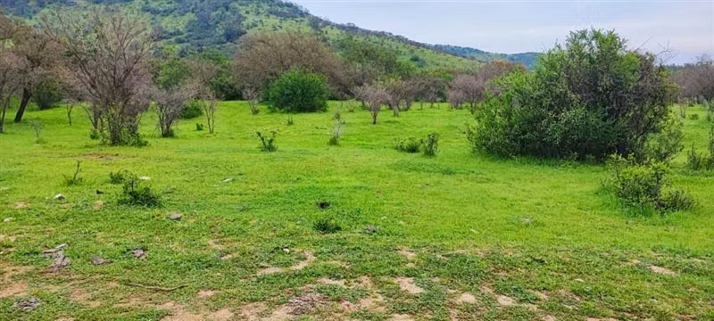 Parcela en venta en Melipilla