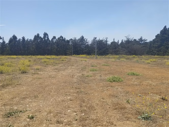 vende 3.9 hectáreas cerca Puerto de San Antonio