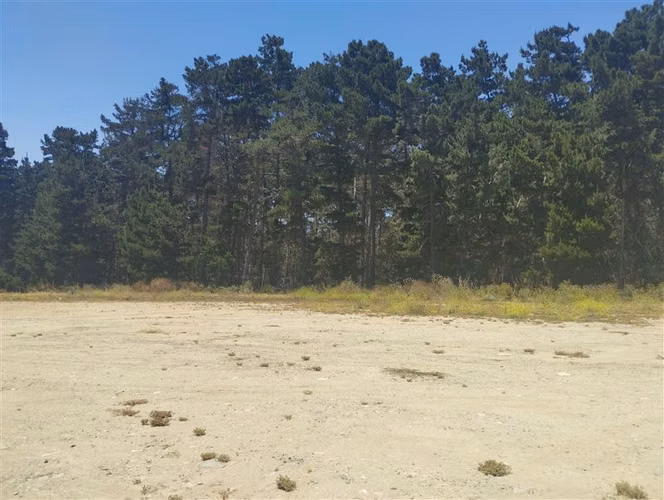 vende 3.9 hectáreas cerca Puerto de San Antonio
