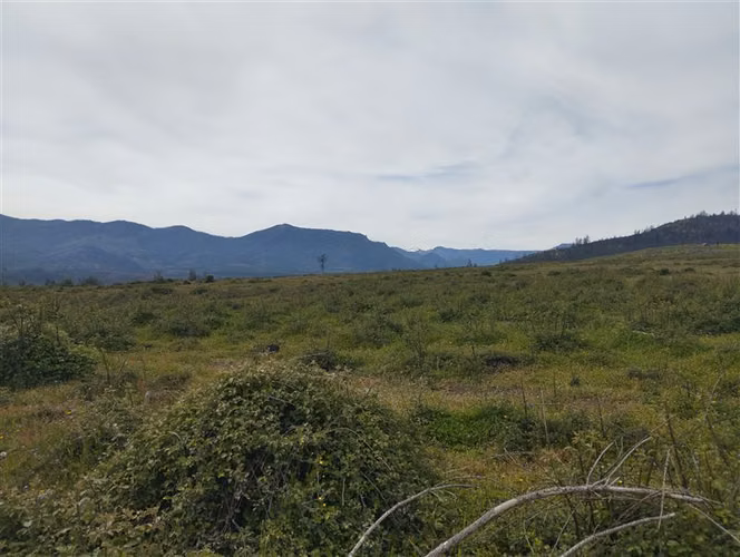 Vende 49 hectáreas en Río Claro, Región del Maule