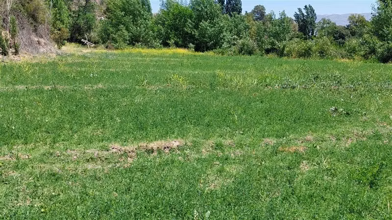 Parcela en venta en Los Andes