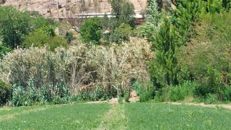 Parcela en venta en Los Andes