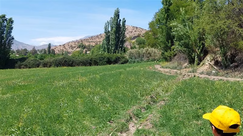 Parcela en venta en Los Andes
