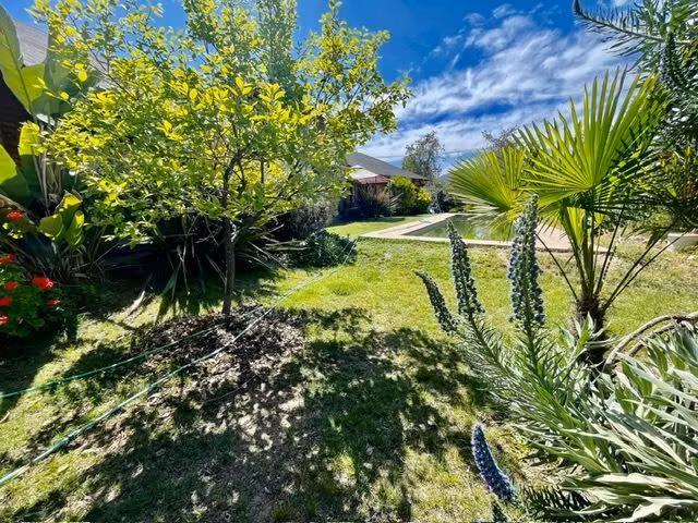 Venta parcela en San Esteban