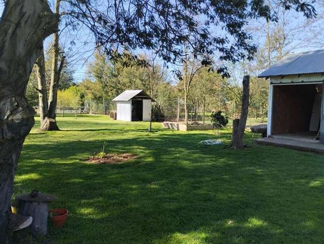 Casa en parcela km 9. en venta de 5 dorm. en Chillán - Imagen 29