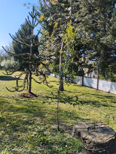 Casa en parcela km 9. en venta de 5 dorm. en Chillán