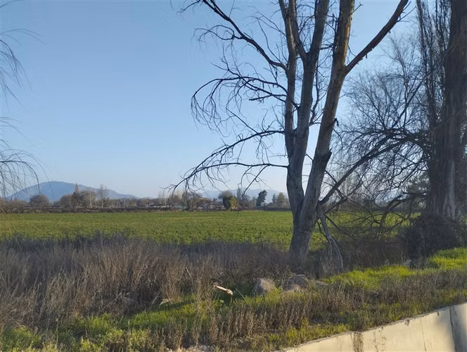 Terreno 9.2 hectáreas agroindustrial en venta en Pudahuel