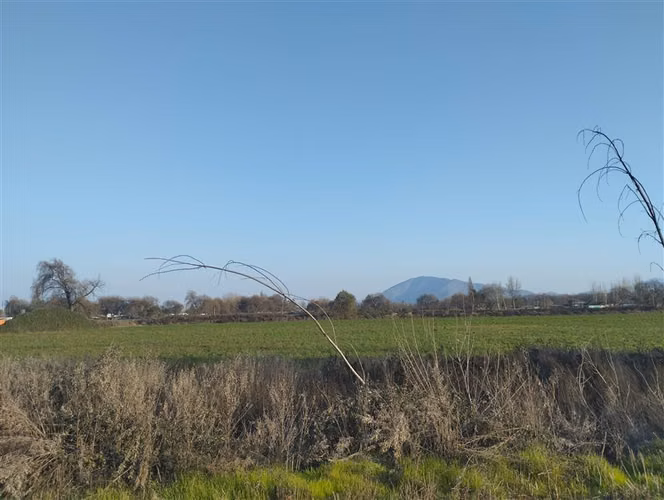 Terreno 9.2 hectáreas agroindustrial en venta en Pudahuel