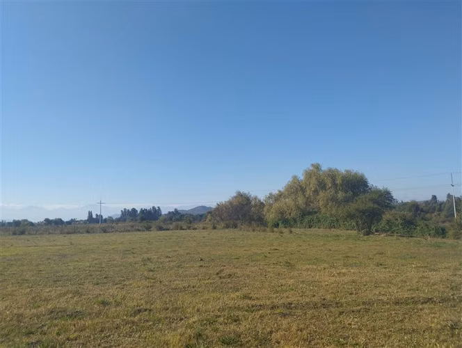 Se vende 1.8 hectáreas en San Clemente
