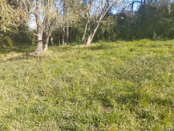 Se vende 1.8 hectáreas en San Clemente
