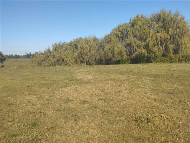 Se vende 1.8 hectáreas en San Clemente