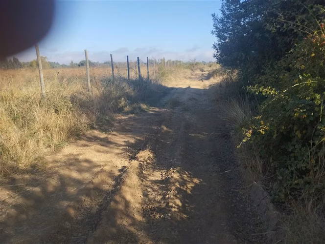 Vendo 1.8 hectáreas en Región del Maule - Imagen 8