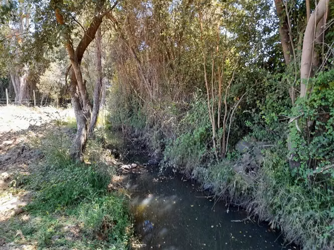 Parcela en venta en San Clemente