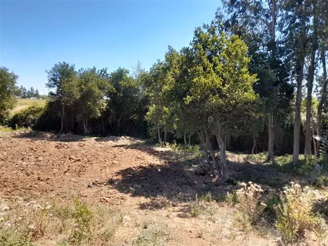 Parcela en venta en San Clemente