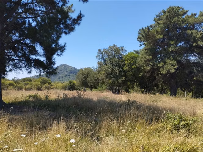 Parcela en venta en San Clemente