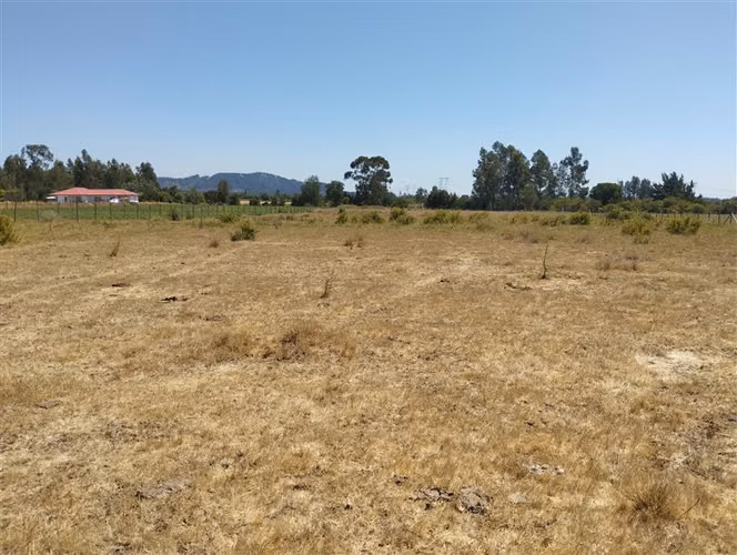 Parcela en venta en San Clemente