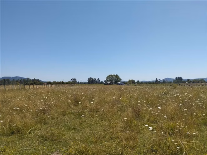 Parcela en venta en San Clemente