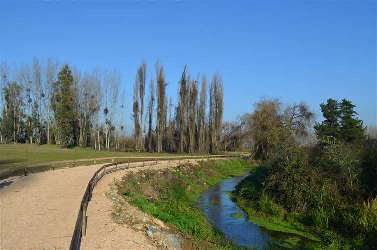 Parcela en Venta en Linares - Imagen 12