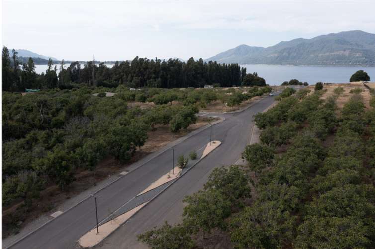 Terreno Construccion  en Venta en Colbún
