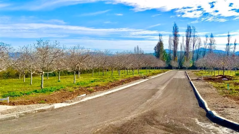 Terreno Construccion  en Venta en Colbún