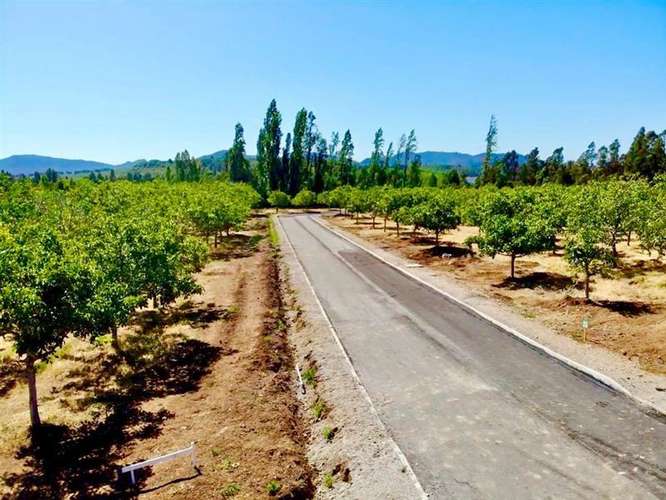 Terreno Construccion  en Venta en Colbún