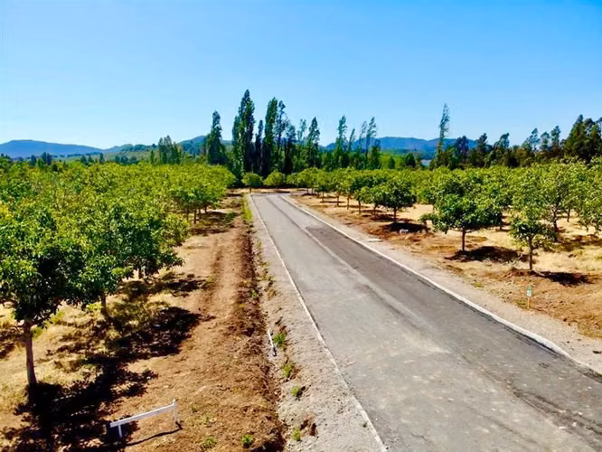 Terreno Construccion  en Venta en Colbún