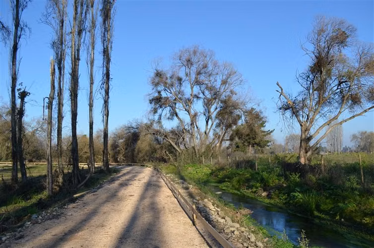 Sitio en Venta en Linares