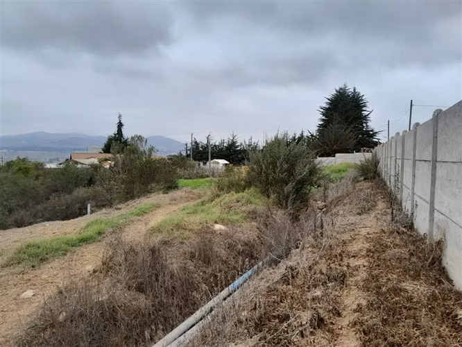 Parcela en venta, 5058 metros2, Sector Ceres, La Serena. - Imagen 10