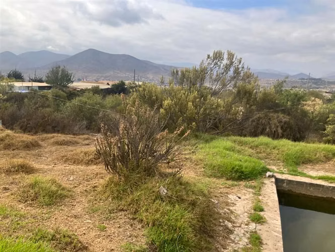 Parcela en venta, 5058 metros2, Sector Ceres, La Serena. - Imagen 3